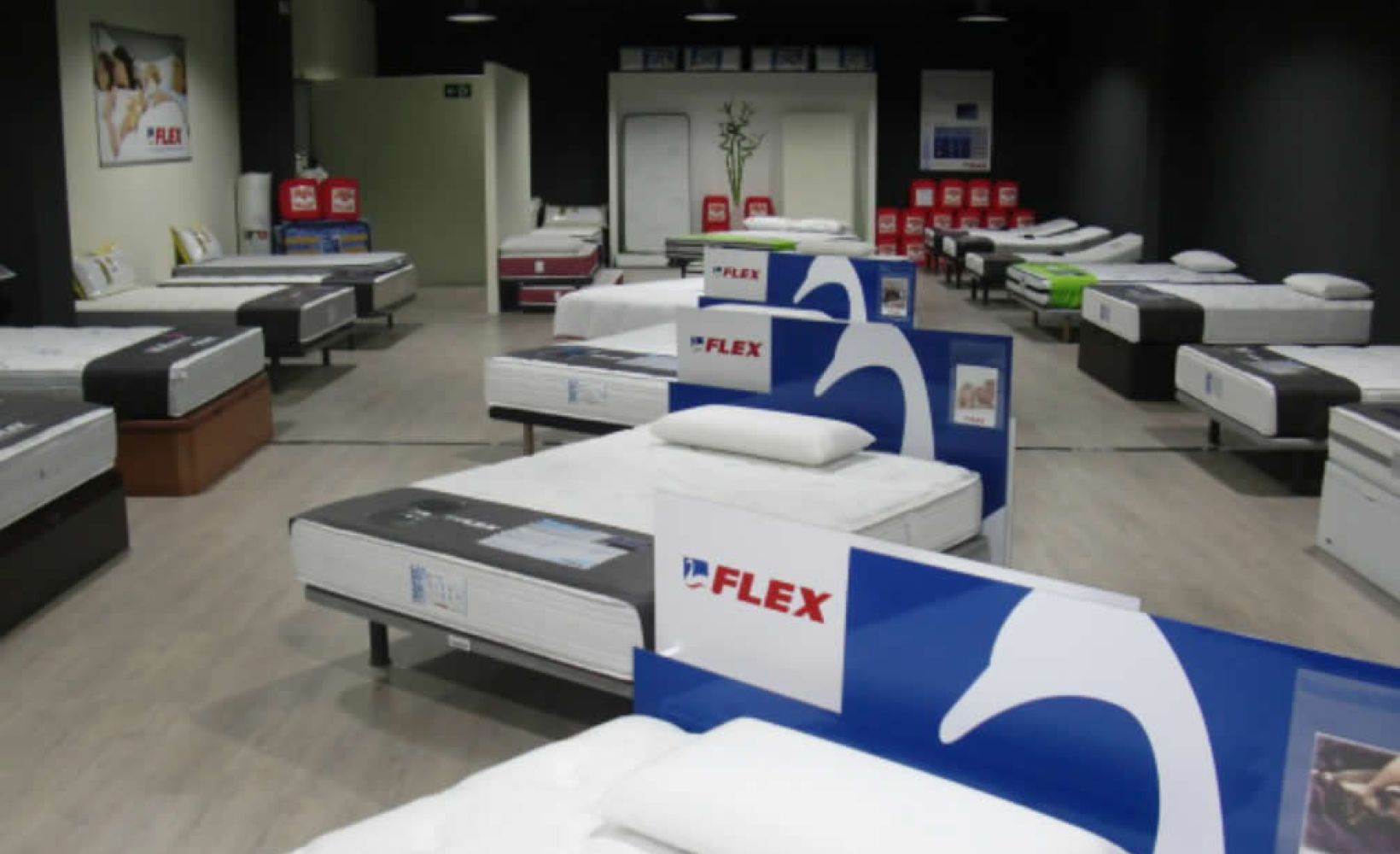 Flex Store GIRONA ( Gerona )